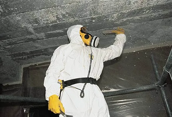 Décontamination amiante Nexa